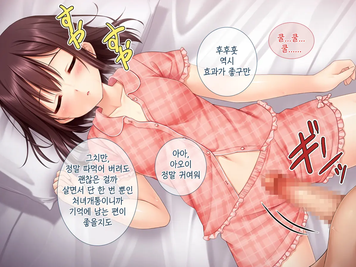 Imouto Ga Suki Sugiru Aniki Ga Kareshi Kara Netoru | 여동생을 엄청 좋아한 오빠가 남자친구에게서 여동생 빼앗기